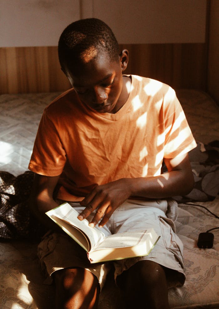 A young boy reading a book in a sunlit room with light and shadow play.